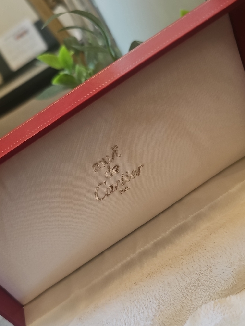 Cartier Case - Picture 5 of 10